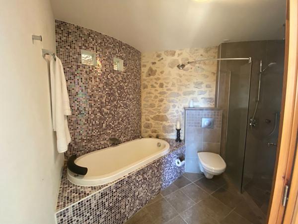 Maison en pierre rénovée avec vue imprenable - Grange - Aucun travaux