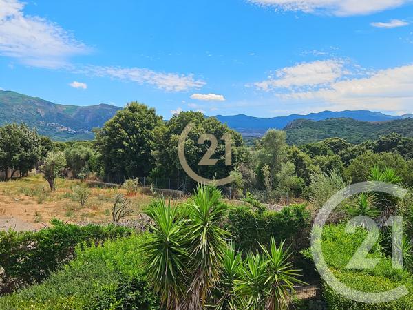 Appartement T3 à vendre  3 pièces - 74 m2 OLETTA - 202