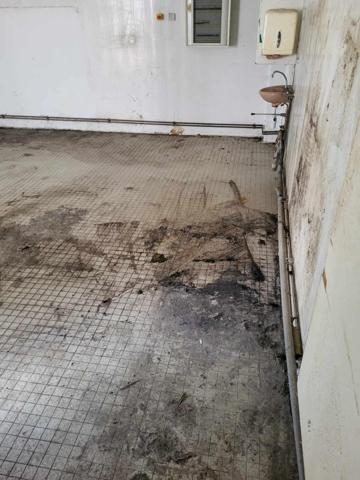 maison avec local commercial