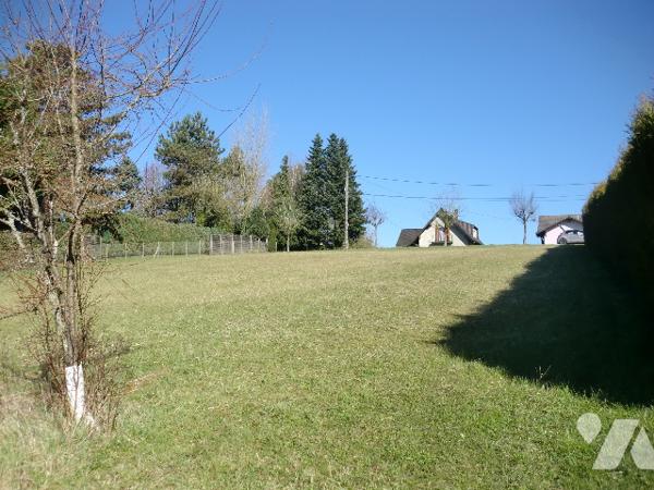 Extraordinaire, grand dégagé, vu sur un horizon vert et feuillus, quartier prisé. résidentiel