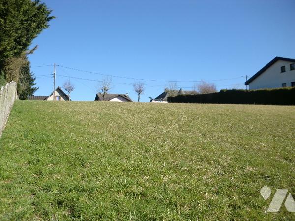 Extraordinaire, grand dégagé, vu sur un horizon vert et feuillus, quartier prisé. résidentiel