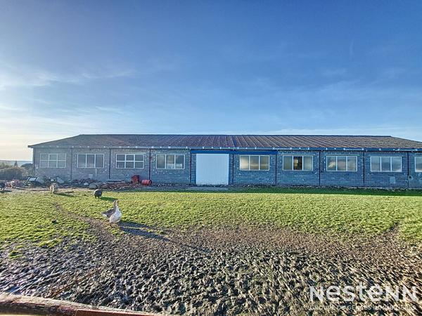 A Vendre Bâtiment de 800 m² sur parcelle d'environ 4 000 m² à Mézin