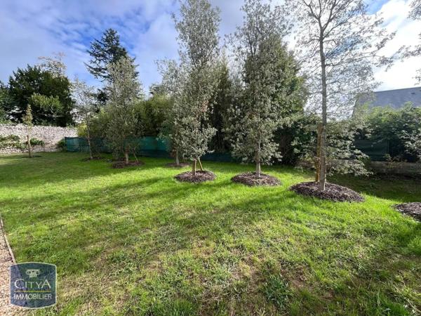 Appartement à louer 3 pièces 58.4m²