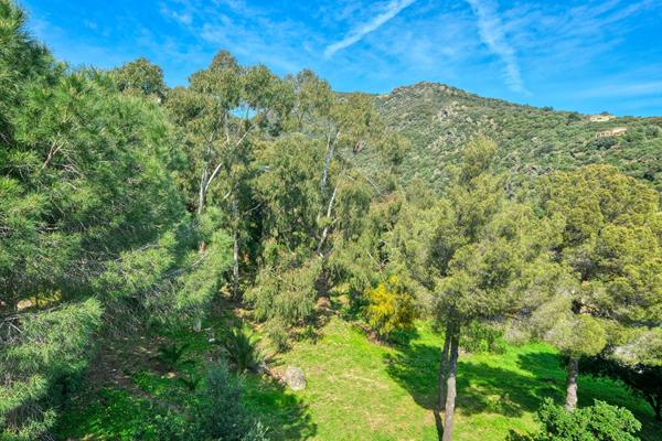 Appartement Bastia 3 pièces - Bastia - Toga