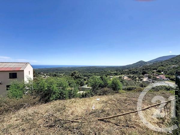 Terrain à vendre  630 m 2   CERVIONE  - 202