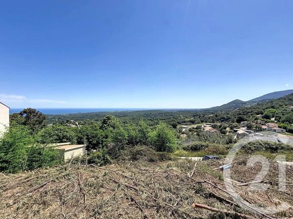 Terrain à vendre  630 m 2   CERVIONE  - 202