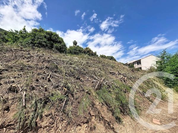 Terrain à vendre  630 m 2   CERVIONE  - 202