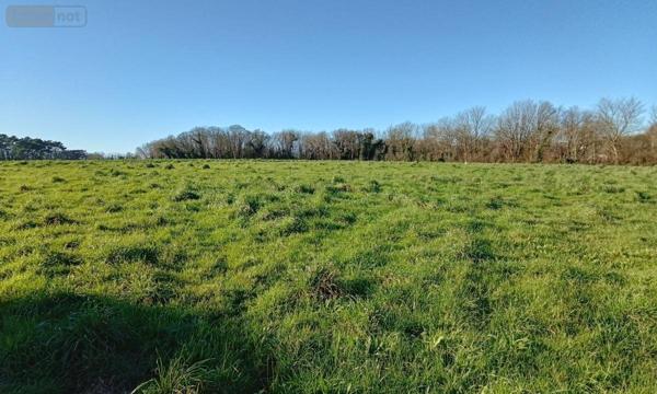 Terrain à Batir à vendre à Saint-Jean-Trolimon dans le Finistère (29120), ref : 29016-1077
