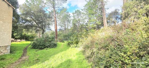 Maison à vendre 3 pièces LECCI (20) Terrasse et jardin