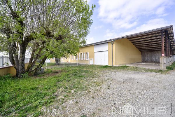 Belle Toulousaine évolutive, de plain-pied T4 rénové, avec garage, chai et hangar - Plaisance-Du-Touch (31830)