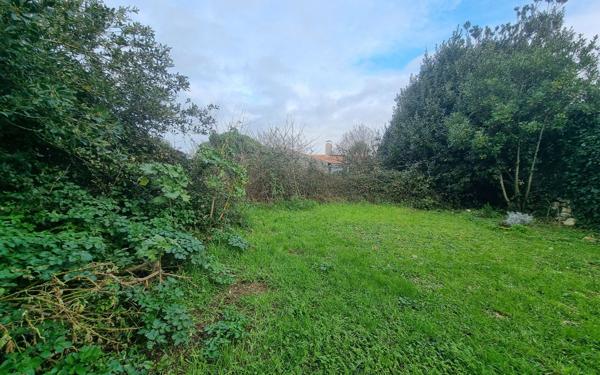 Terrain à vendre    Sainte-Marie-de-Ré