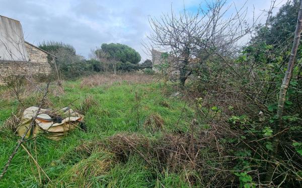 Terrain à vendre    Sainte-Marie-de-Ré