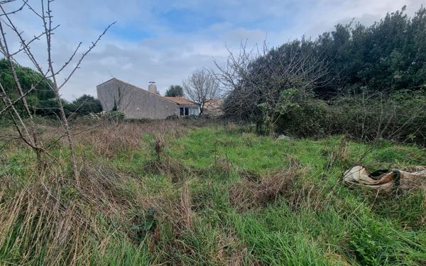 Terrain à vendre    Sainte-Marie-de-Ré