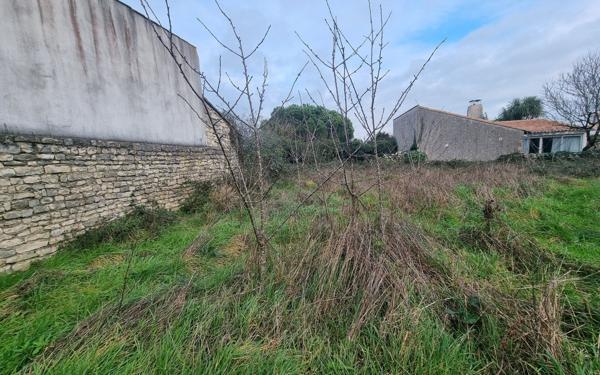 Terrain à vendre    Sainte-Marie-de-Ré