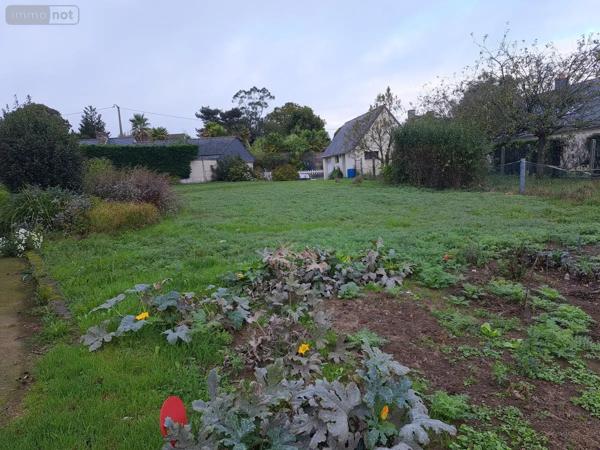 Achat - Terrain à bâtir Pluzunet 22140 1207 m 2