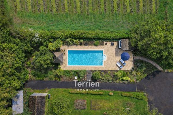 Propriété avec vue exceptionnelle et son parc Chalonnes-sur-Loire (49290)