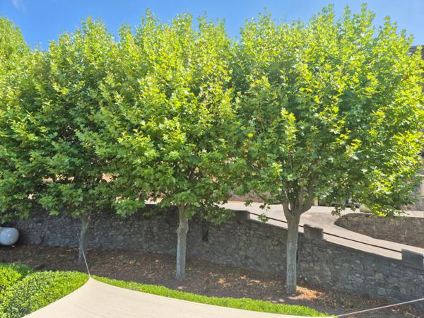 Très belle maison de 191m2 sise sur un terrain de 1180m2 avec une magnifique vue