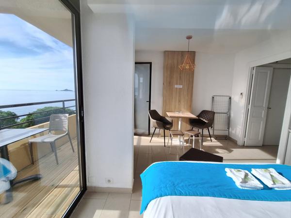 STUDIO 24 M² VUE MER ROUTE DES SANGUINAIRES Ajaccio (20000)