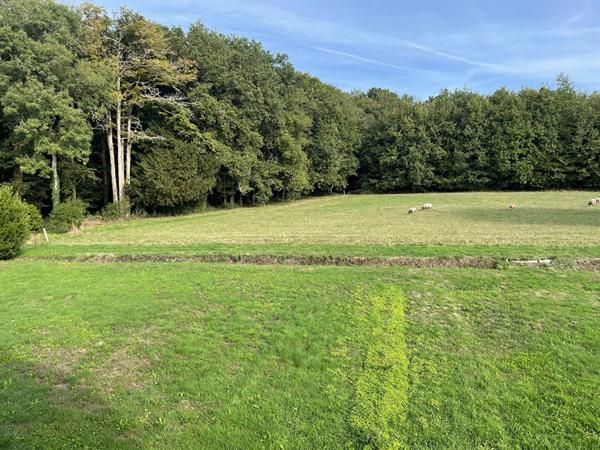 A VENDRE PROPRIETE SUD EST VENDEE - 12 ha avec Dépendances