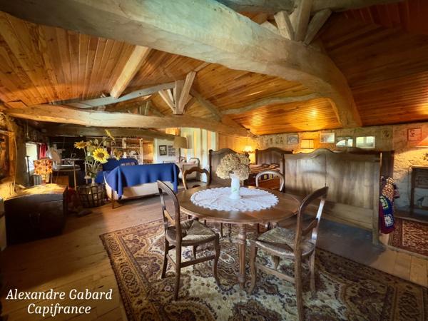 Maison en pierres 230 m² - 4 chambres - Terrain 7 370 m² - Piscine - Dépendances