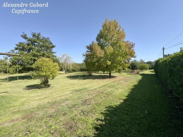 Maison en pierres 230 m² - 4 chambres - Terrain 7 370 m² - Piscine - Dépendances