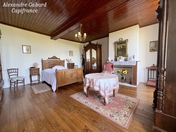 Maison en pierres 230 m² - 4 chambres - Terrain 7 370 m² - Piscine - Dépendances