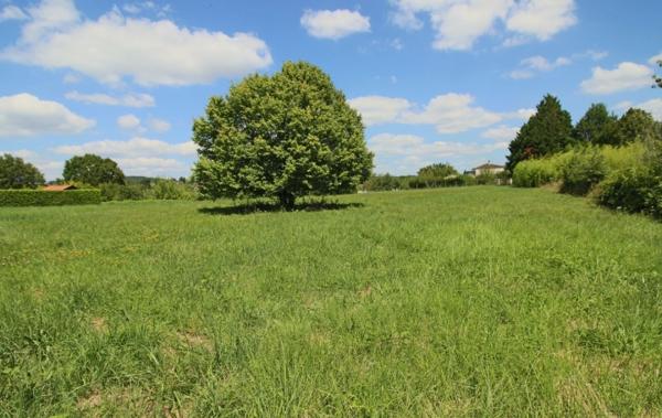 Vente Terrain Puy-l'eveque   