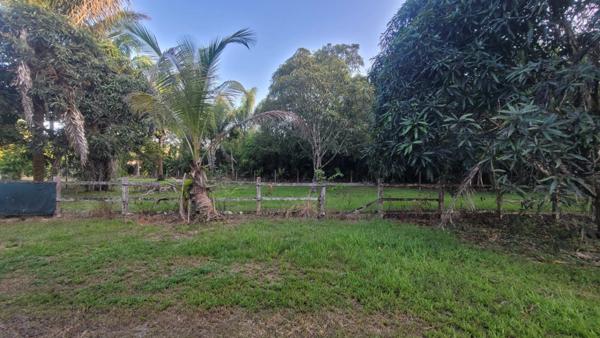 Terrain à vendre de 15 221,00 m² MANA (973)