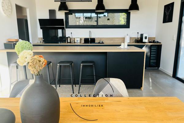 Montferrier-sur-Lez (34980) Villa contemporaine dans secteur privilégié