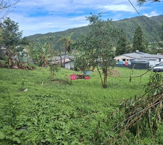 97421 LES MAKES , beau terrain CONSTRUCTIBLE 700m² env  avec trés bel environnement