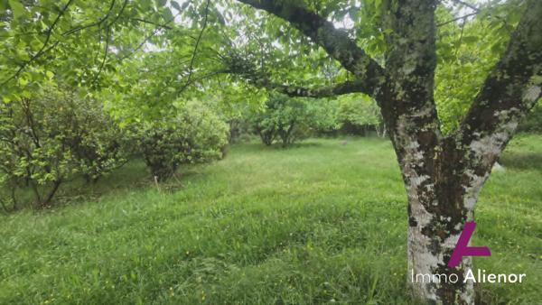 Terrain de 5 009 m² dans un cadre naturel privilégié.