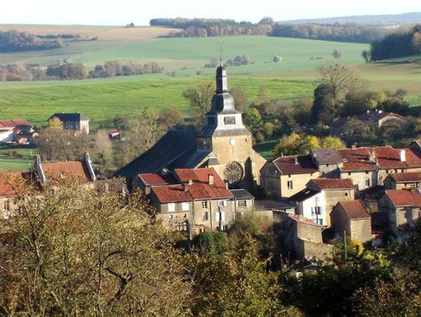 A VENDRE PROCHE DE LA BELGIQUE ET DU LUXEMBOURG MAISON DE VILLAGE A FINIR DE RENOVER 3 CHAMBRES