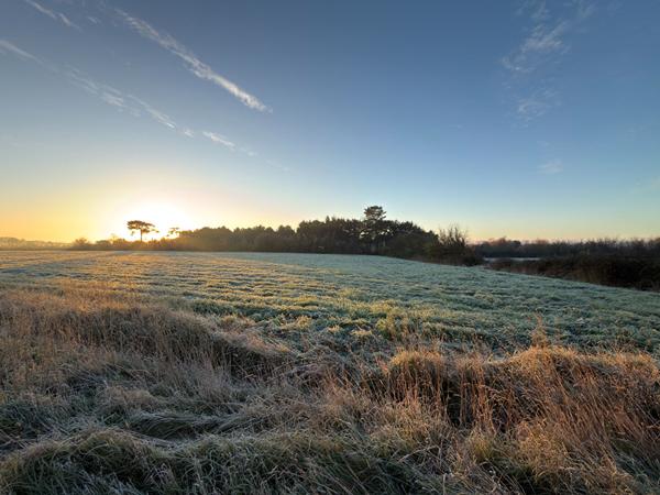 Terrain Saint Gilles Croix De Vie 302 m2