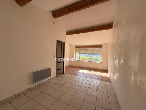 Sénas (13560) Authentique mas provençal en pierre avec dépendances 336 m² habitables sur plus d' un hectare