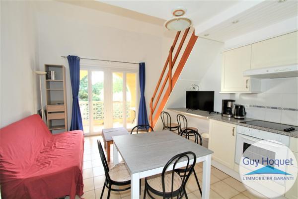 Appartement meublé T2 + mezzanine avec balcon et toit terrasse