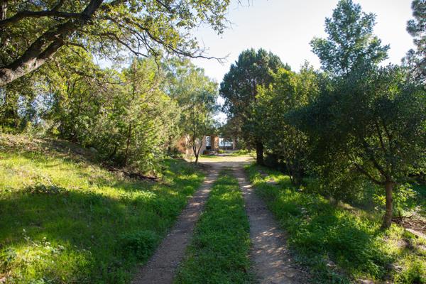 Sari-Solenzara (20145) Propriété pieds dans l'eau vue mer au domaine de Canella, à 32km de Porto-Vecchio