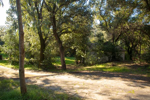 Sari-Solenzara (20145) Propriété pieds dans l'eau vue mer au domaine de Canella, à 32km de Porto-Vecchio