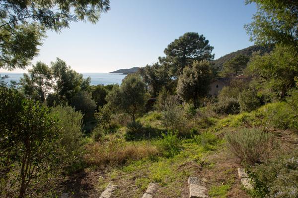 Sari-Solenzara (20145) Propriété pieds dans l'eau vue mer au domaine de Canella, à 32km de Porto-Vecchio