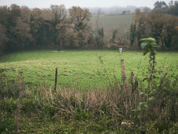 Propriété sur plus d'un hectare  - Guerlesquin