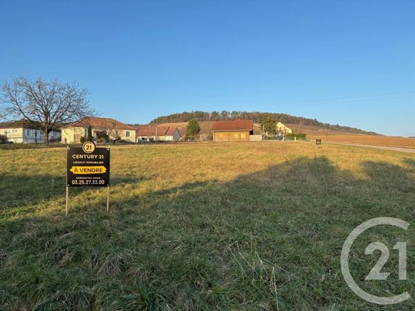 Terrain à vendre  1000 m 2   LA VILLENEUVE AU CHENE  - 10