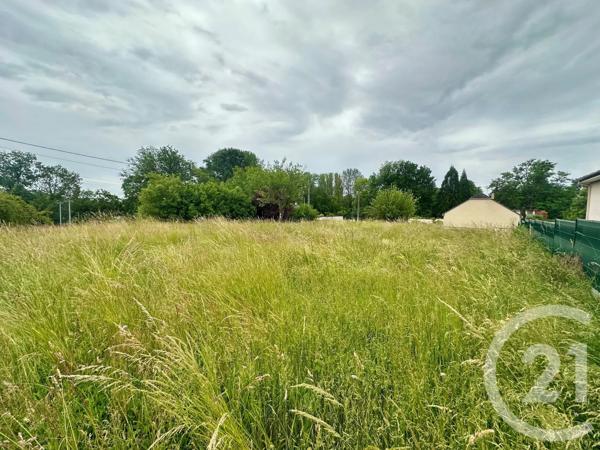 Terrain à vendre  1000 m 2   LA VILLENEUVE AU CHENE  - 10