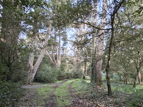 Exceptionnelle villa balnéaire et son parc au Bois de la Chaise, Noirmoutier