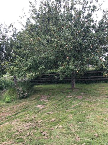 Maison Fermette Longère rénovée de 160m2 4 chambres de plain pied avec possibilité gite - proche Le Mans