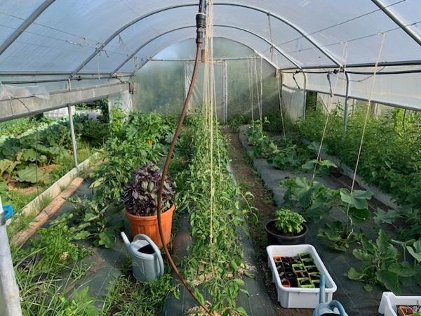 Maison Fermette Longère rénovée de 160m2 4 chambres de plain pied avec possibilité gite - proche Le Mans