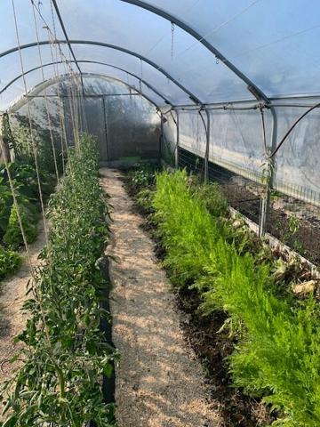 Maison Fermette Longère rénovée de 160m2 4 chambres de plain pied avec possibilité gite - proche Le Mans