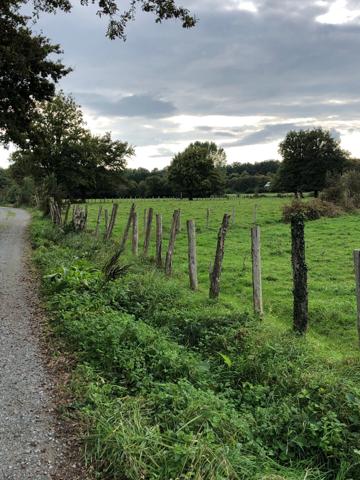 Maison Fermette Longère rénovée de 160m2 4 chambres de plain pied avec possibilité gite - proche Le Mans