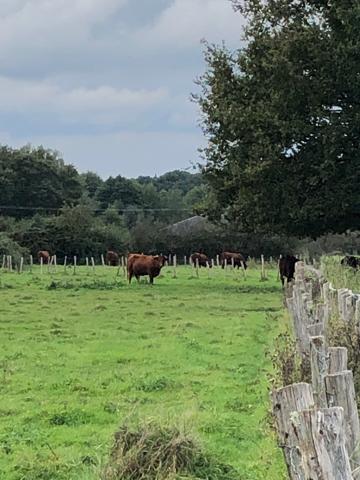 Maison Fermette Longère rénovée de 160m2 4 chambres de plain pied avec possibilité gite - proche Le Mans