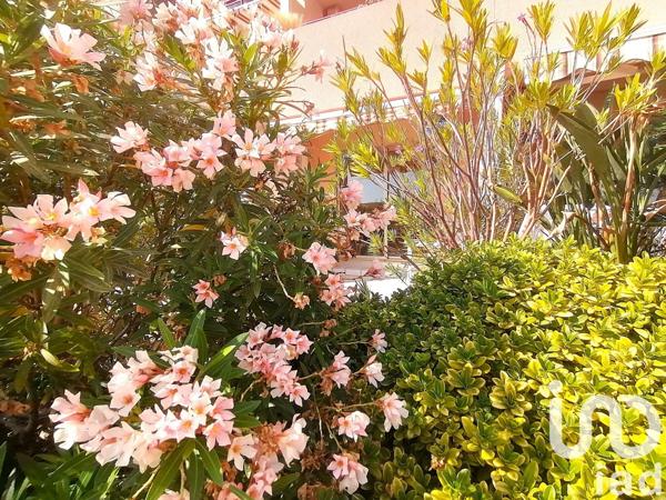 Appartement à vendre 1 pièce 26 m² Le Lavandou