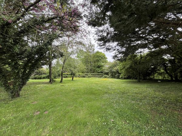 TERRAIN A BATIR - MIGNALOUX BEAUVOIR Mignaloux-Beauvoir (86550)
