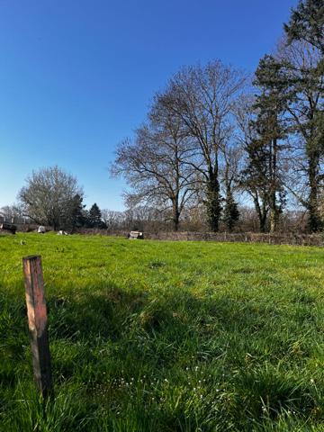 Terrain constructible viabilisé à vendre de 858 m² à Saint-Rémy